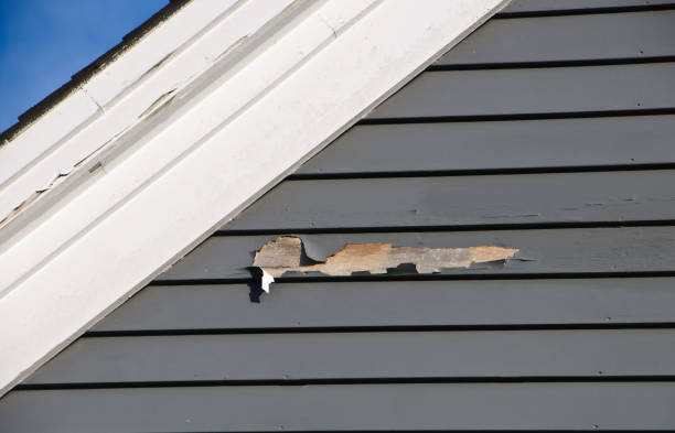 Best Brick Veneer Siding  in Covington, VA
